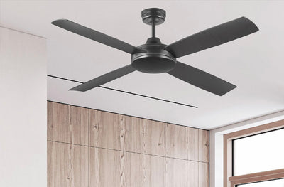 Ceiling Fans