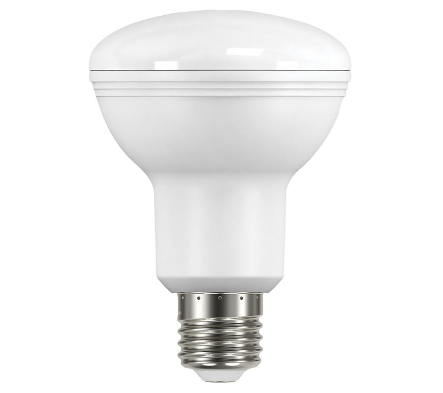 Crown 12W Edison LED Globe R80